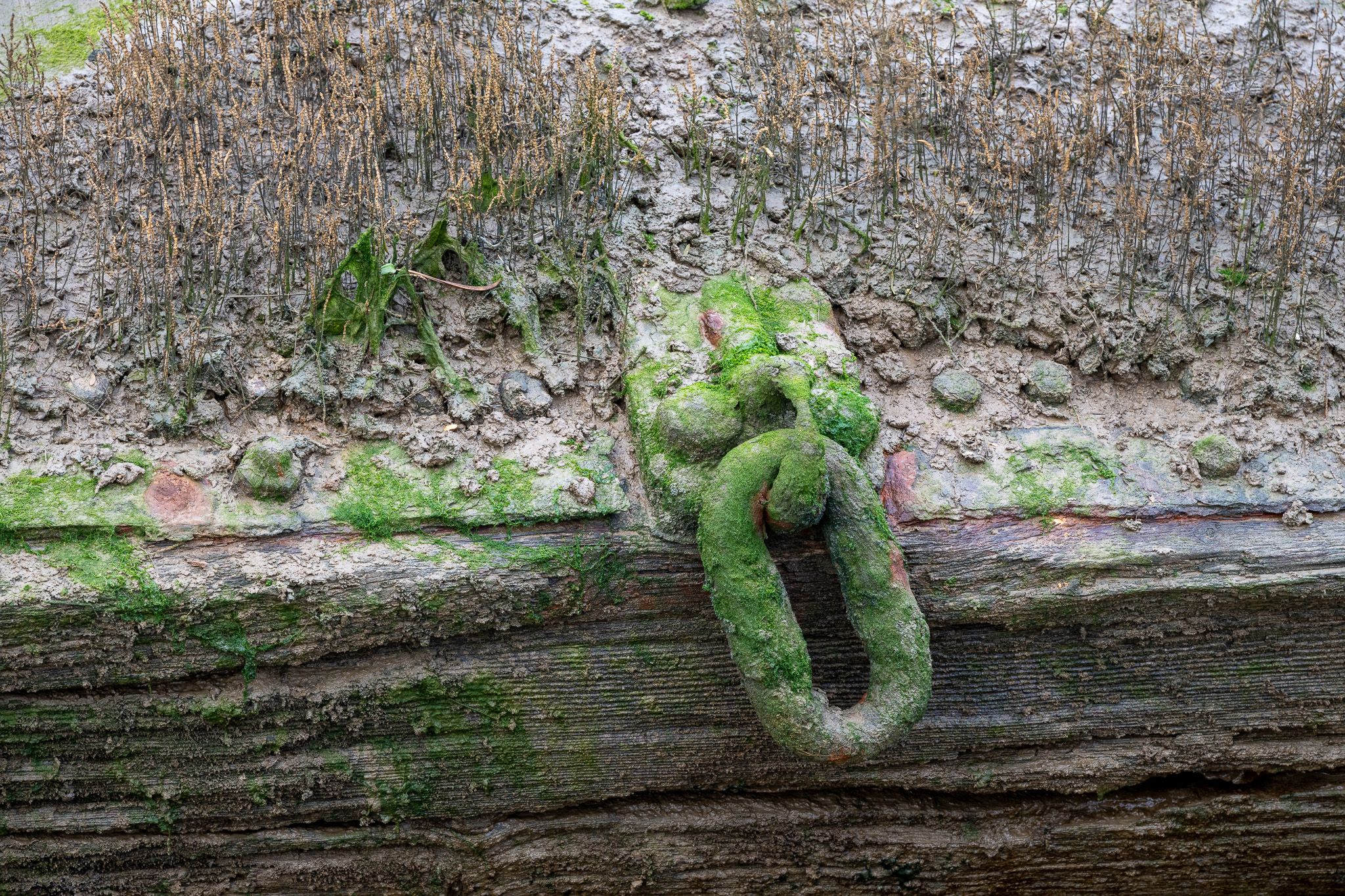 Lion Wharf - Oyster shed and buoys, United Kingdom