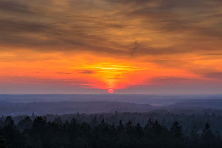 Lookout Tower Hahnheide