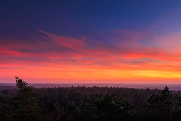 Lookout Tower Hahnheide