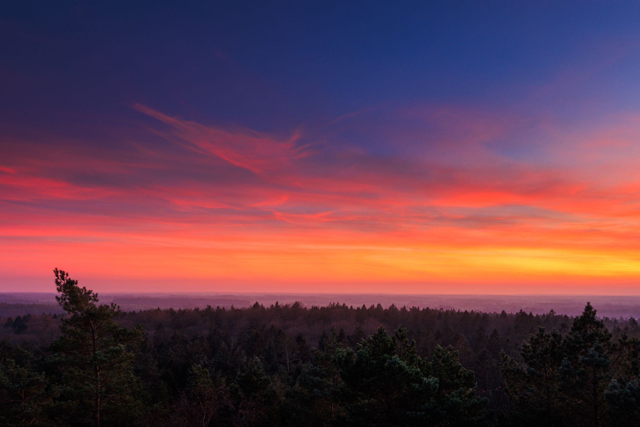 Lookout Tower Hahnheide, Germany