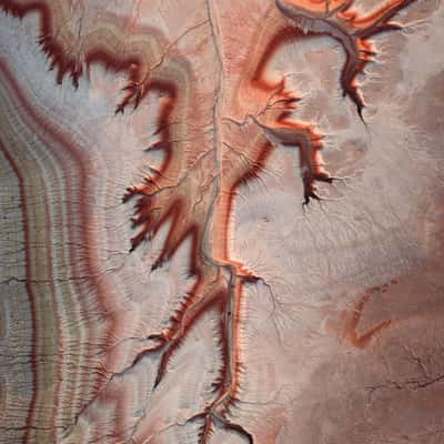 Mangystau Roots, Kazakhstan