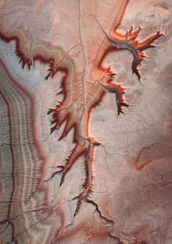 Mangystau Roots