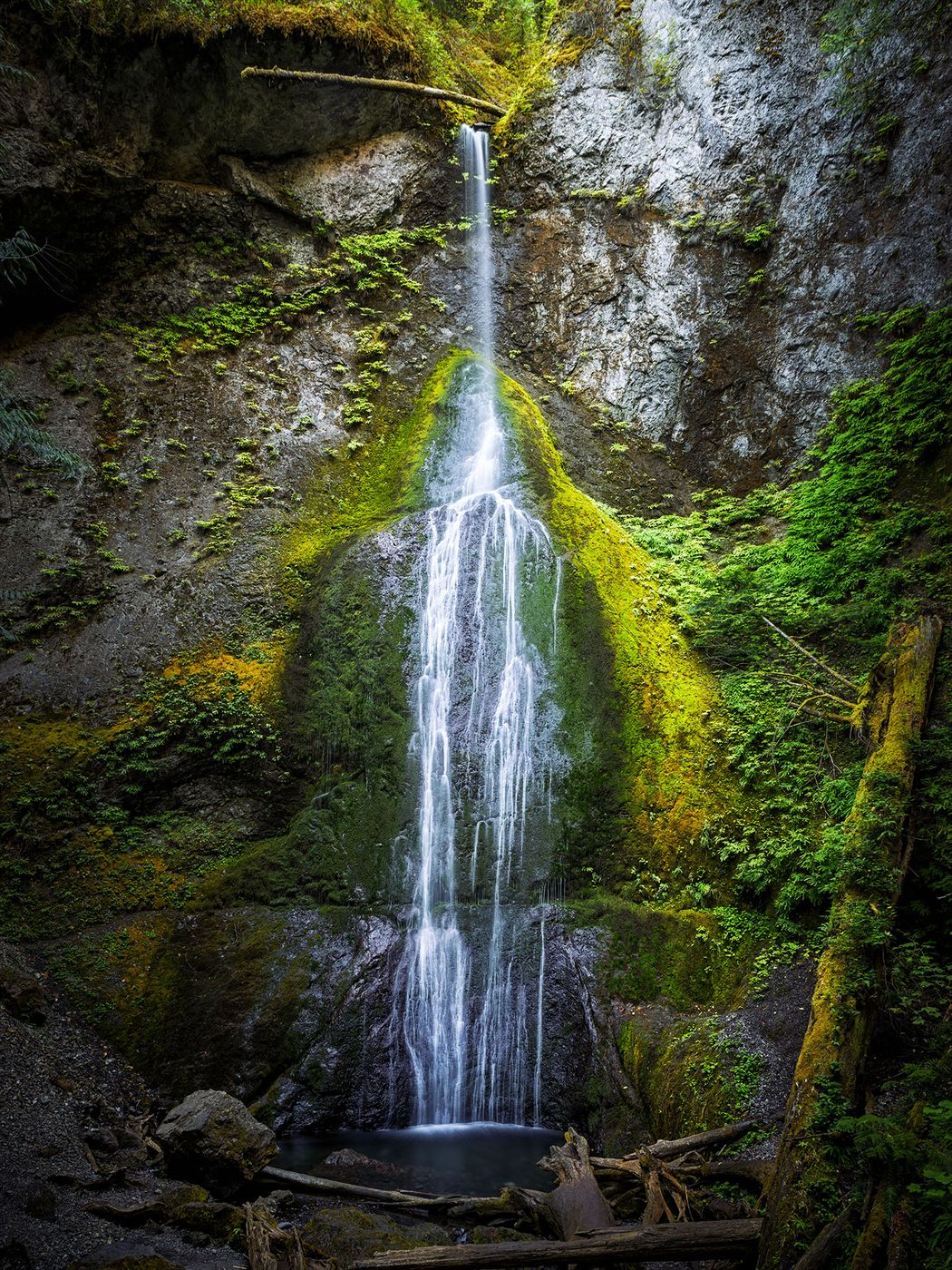 Marymere Falls from Lower View, USA