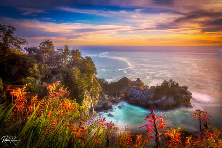McWay Beach and Falls