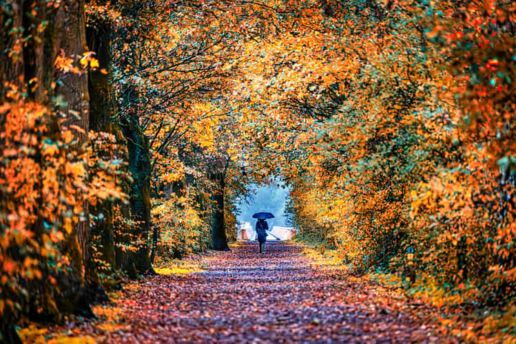 Moerputtenbrug dirt road