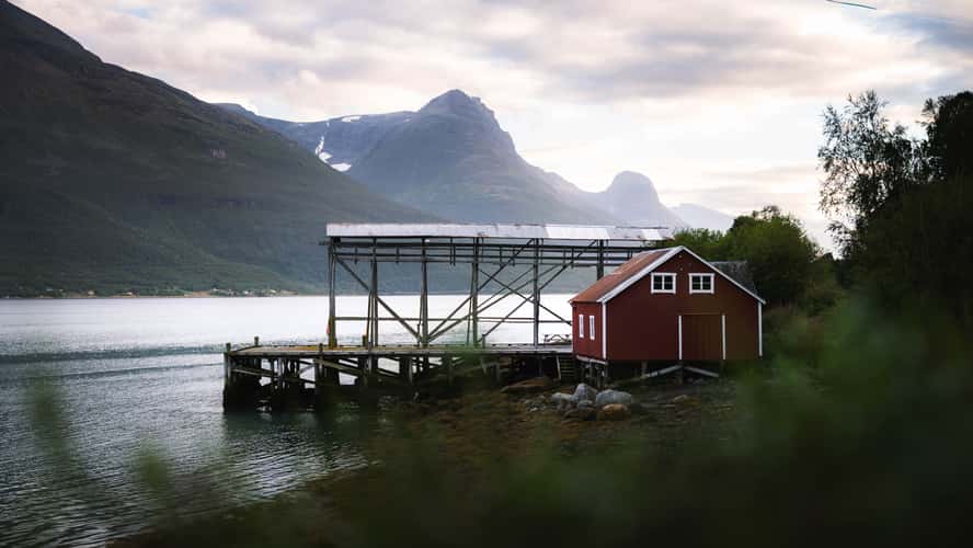 Rastebykaia, Lyngen