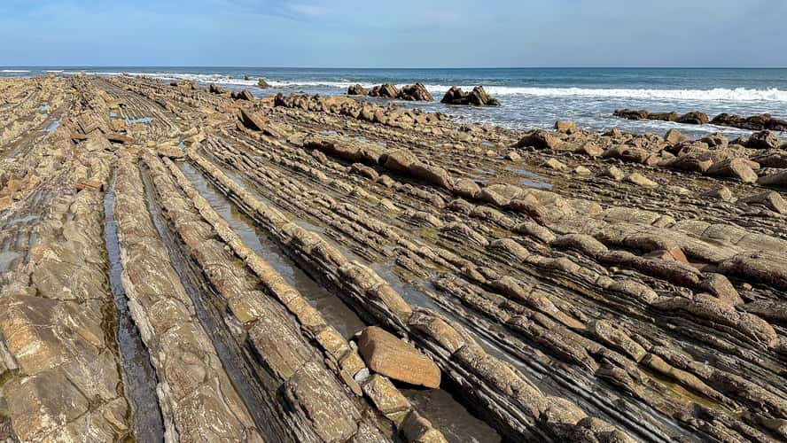 Sakoneta Flysch