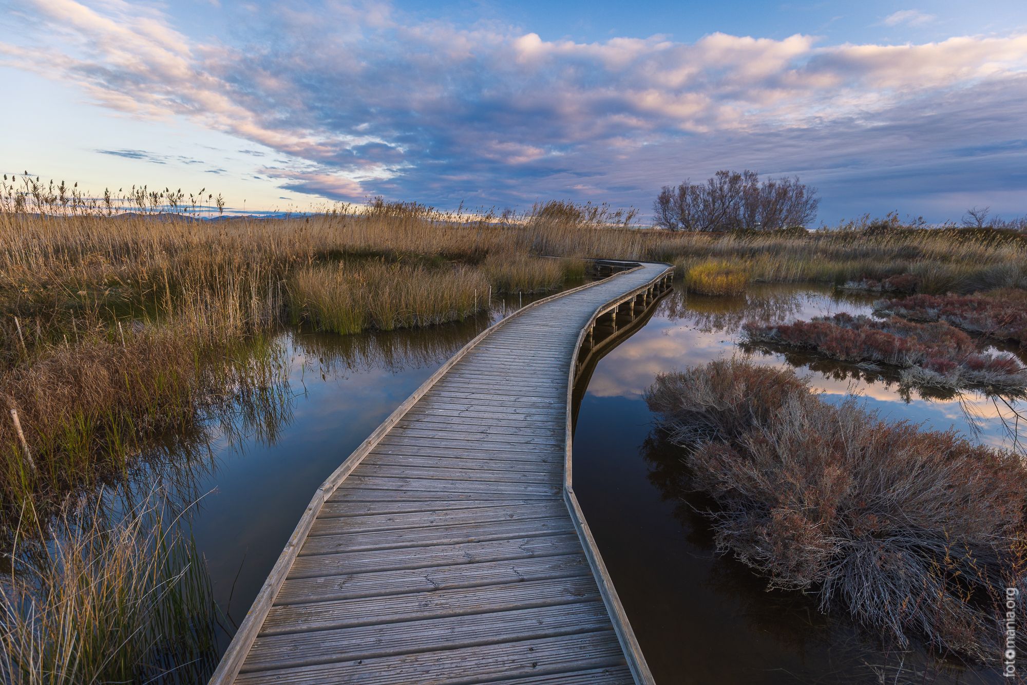 Swamp Marjal dels Moros, Spain