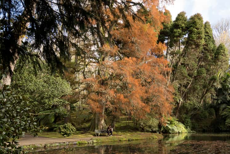 Terra Nostra Parc