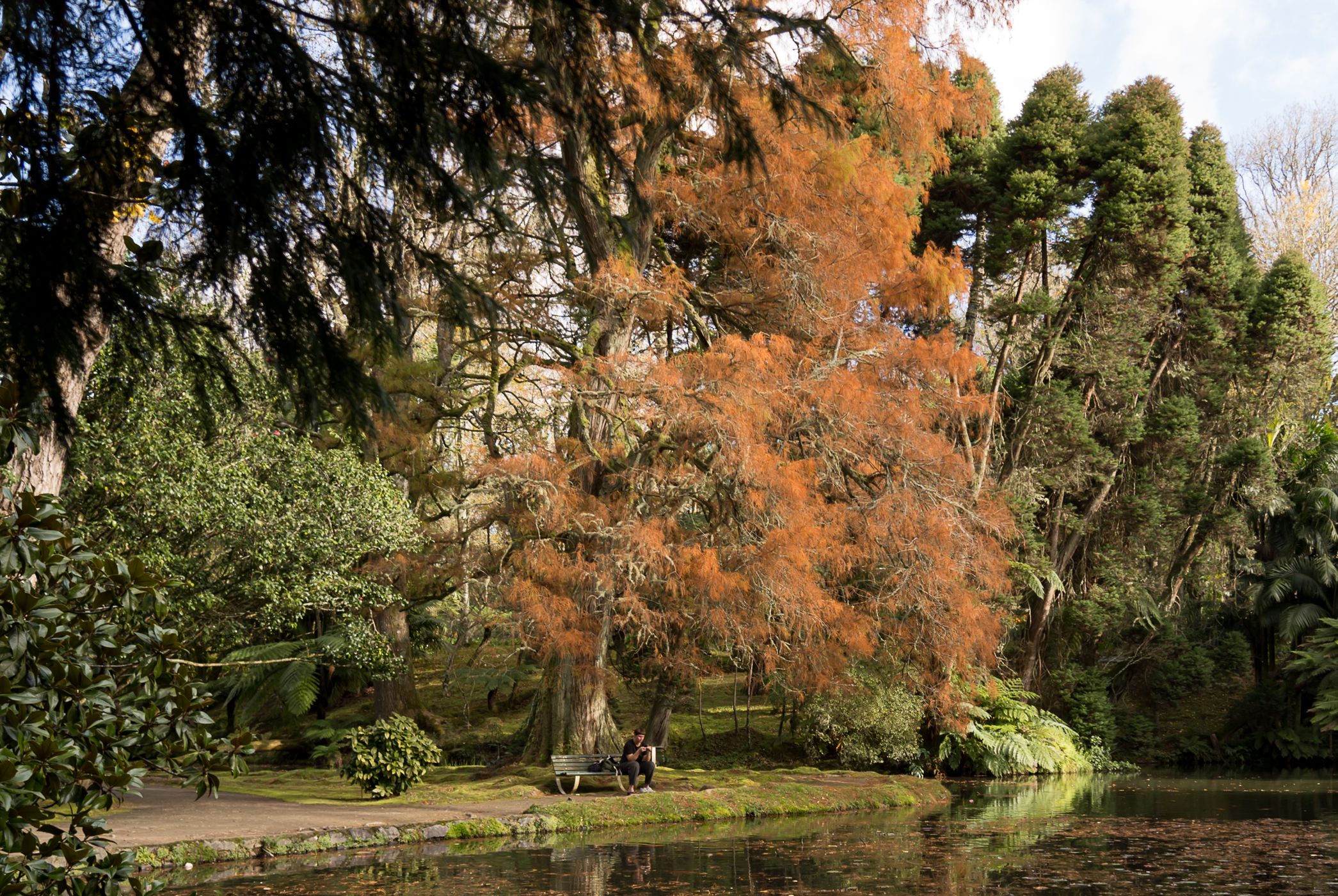 Terra Nostra Parc, Portugal
