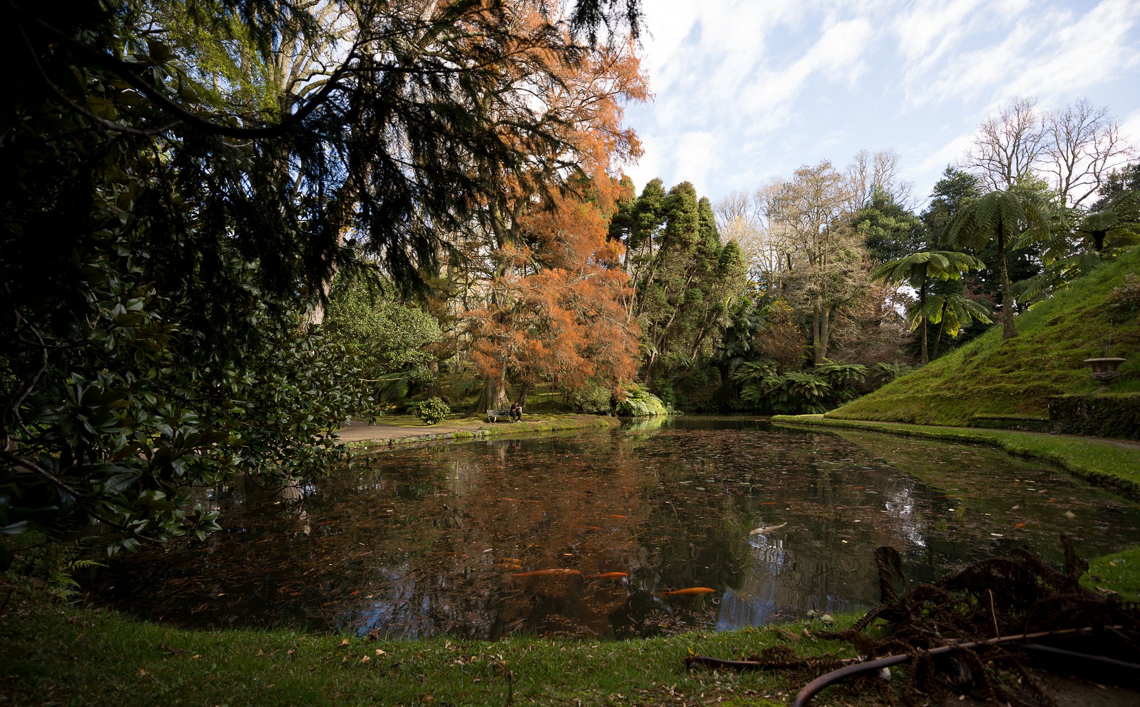 Terra Nostra Parc, Portugal