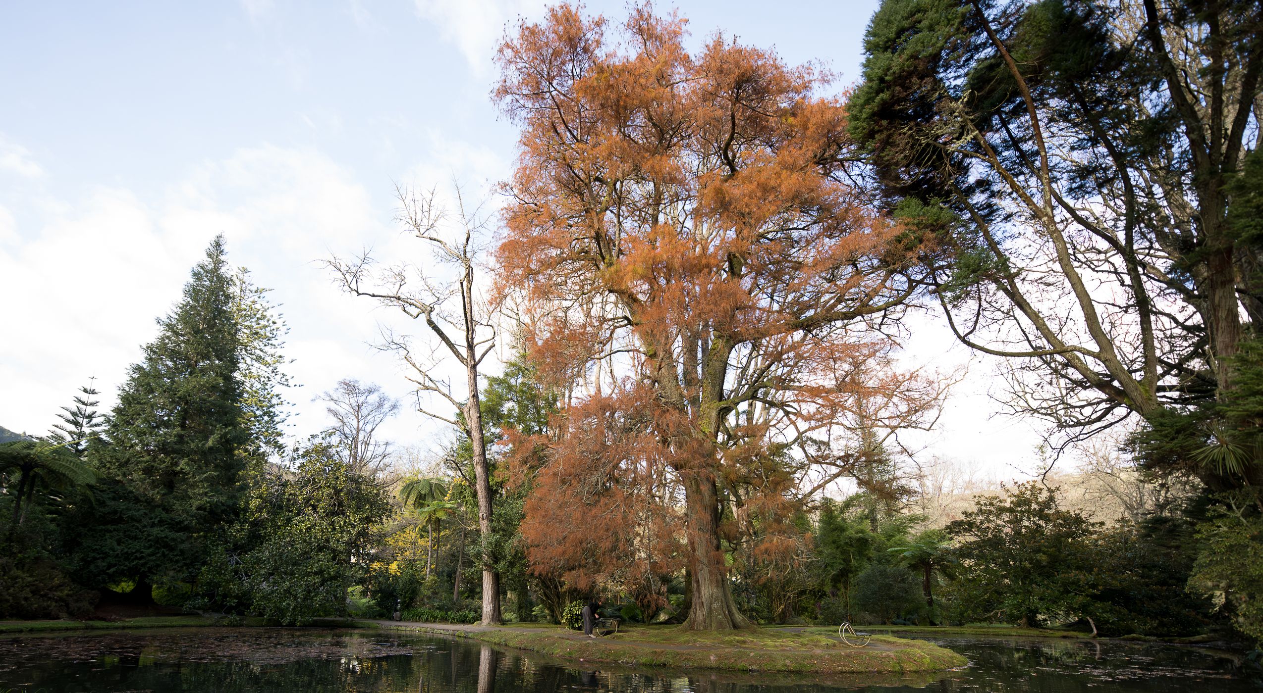 Terra Nostra Parc, Portugal