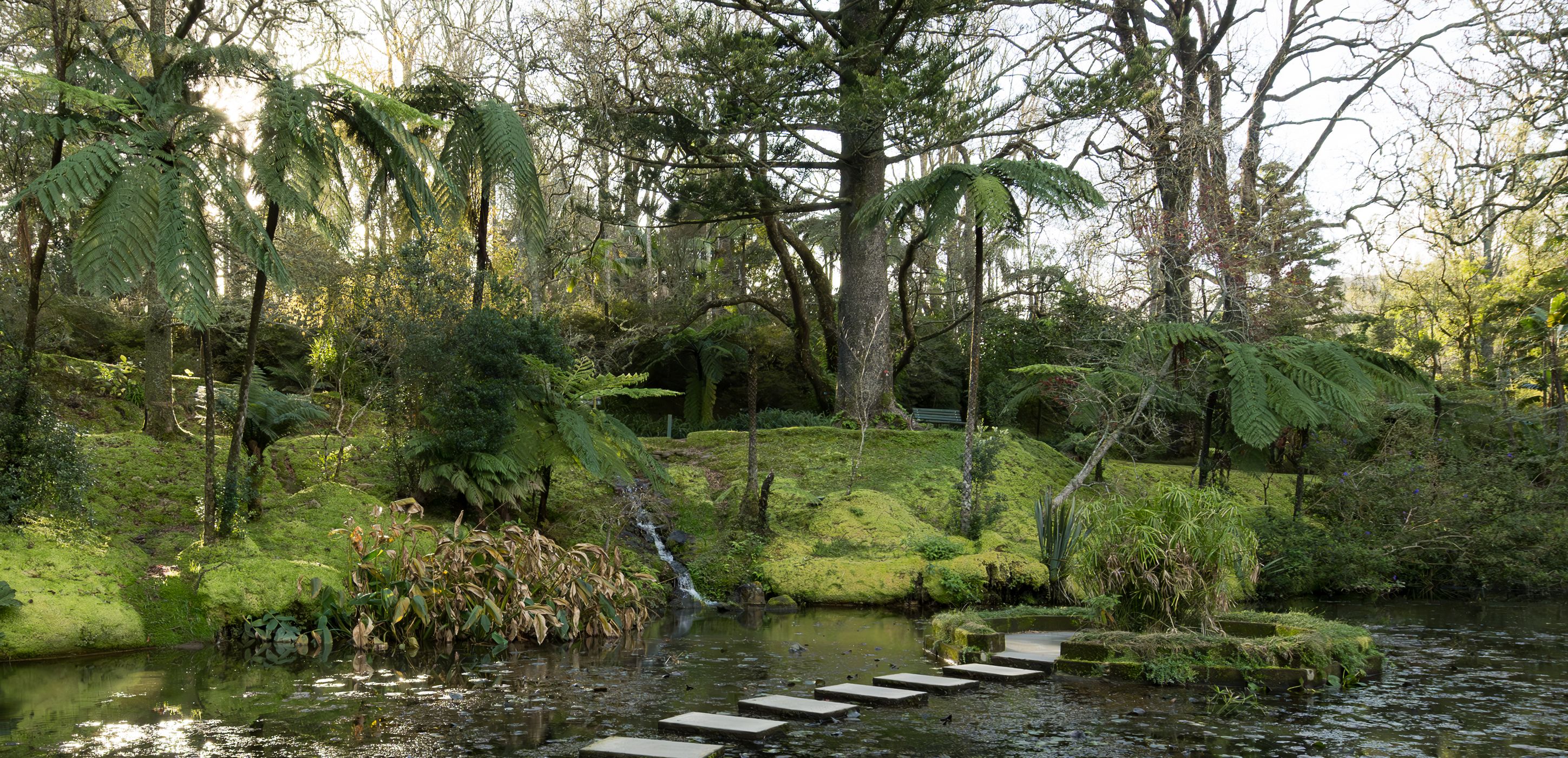 Terra Nostra Parc, Portugal