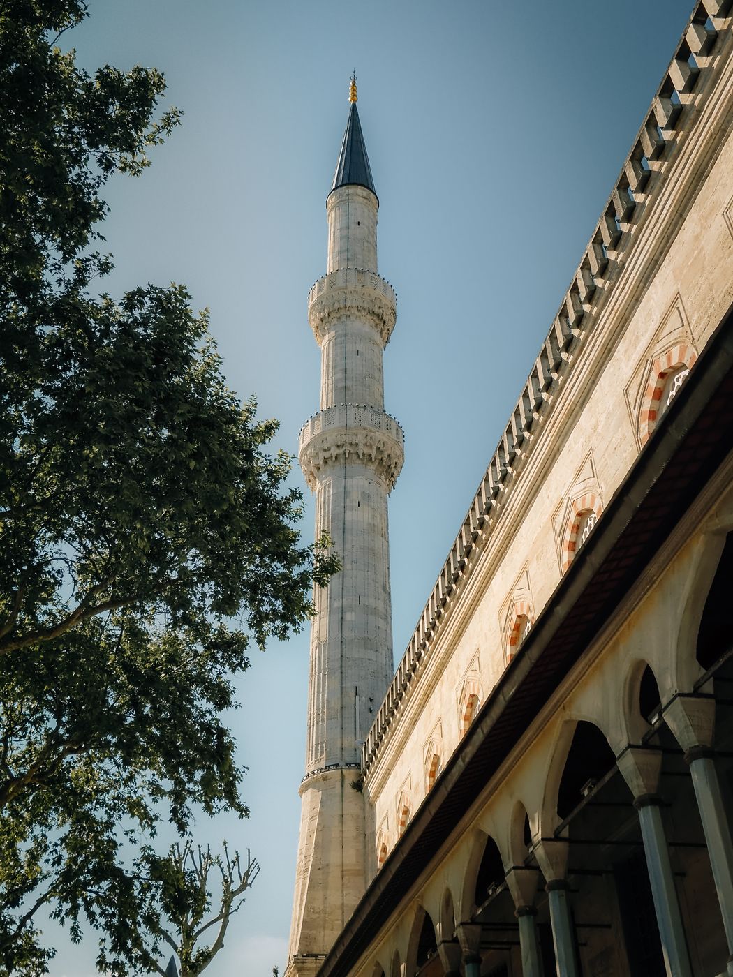 The blue mosque, Turkey (Türkiye)