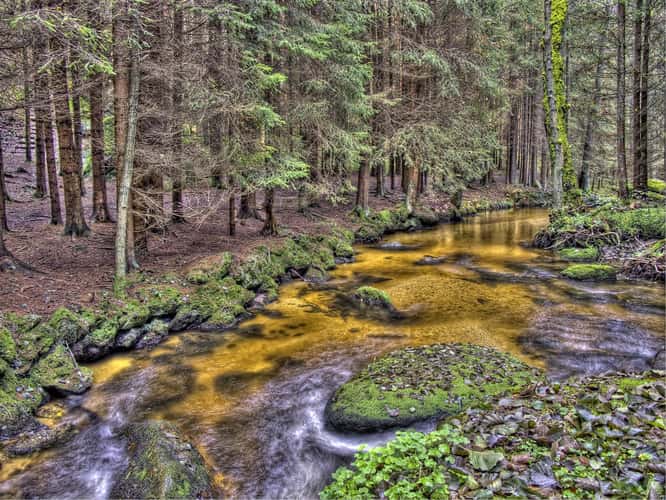 The colorful Zwettl near Groß Gerungs