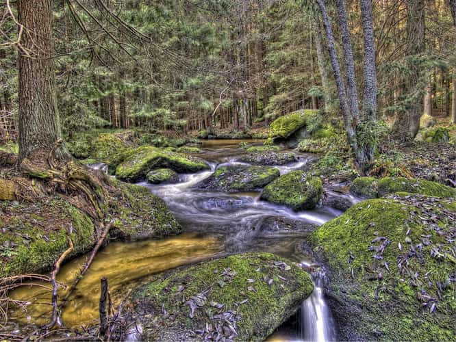 The colorful Zwettl near Groß Gerungs