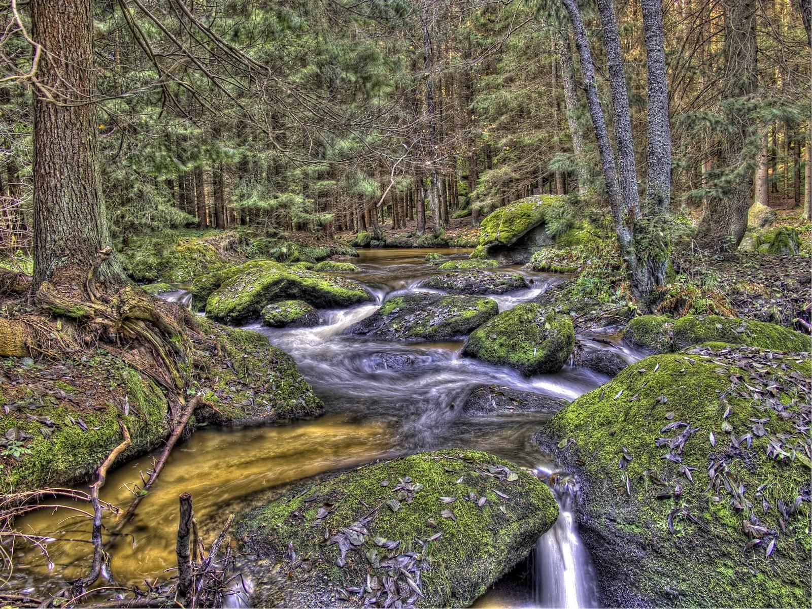 The colorful Zwettl near Groß Gerungs, Austria