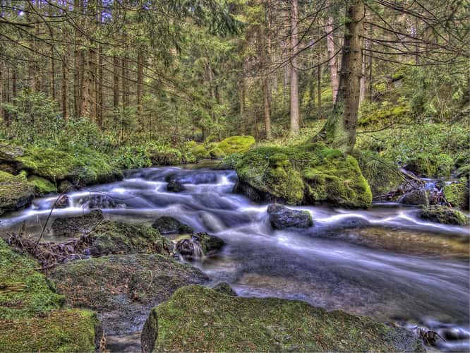 The colorful Zwettl near Groß Gerungs