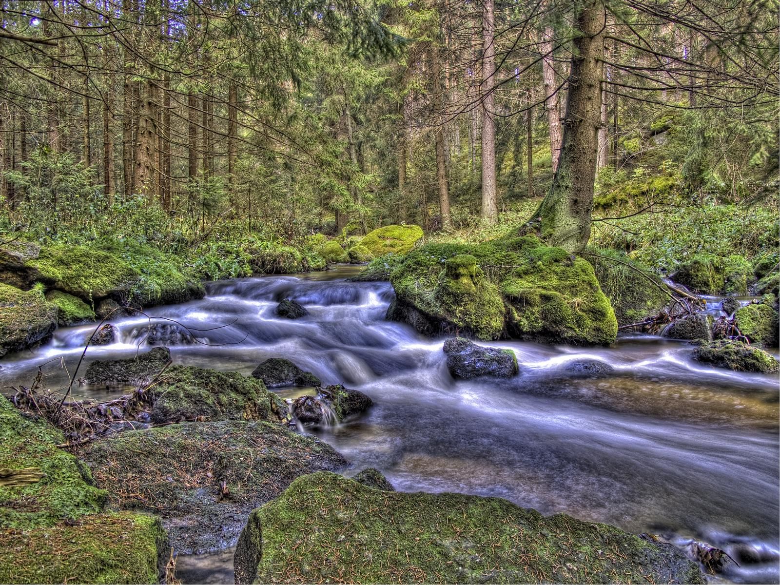 The colorful Zwettl near Groß Gerungs, Austria