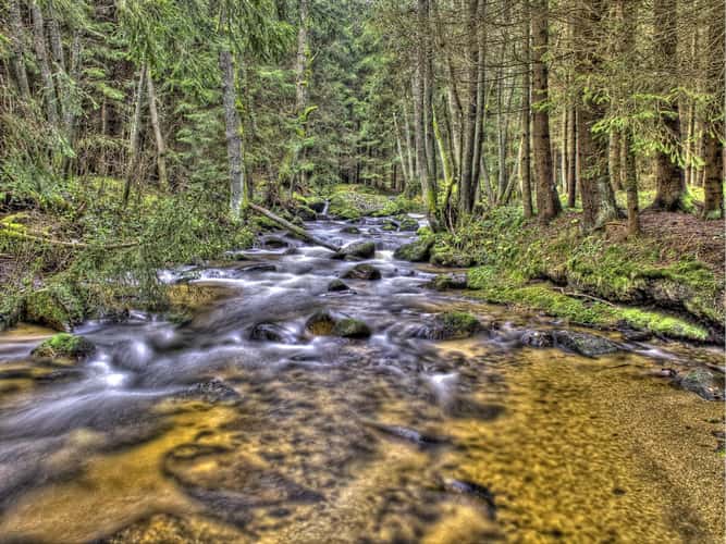 The colorful Zwettl near Groß Gerungs
