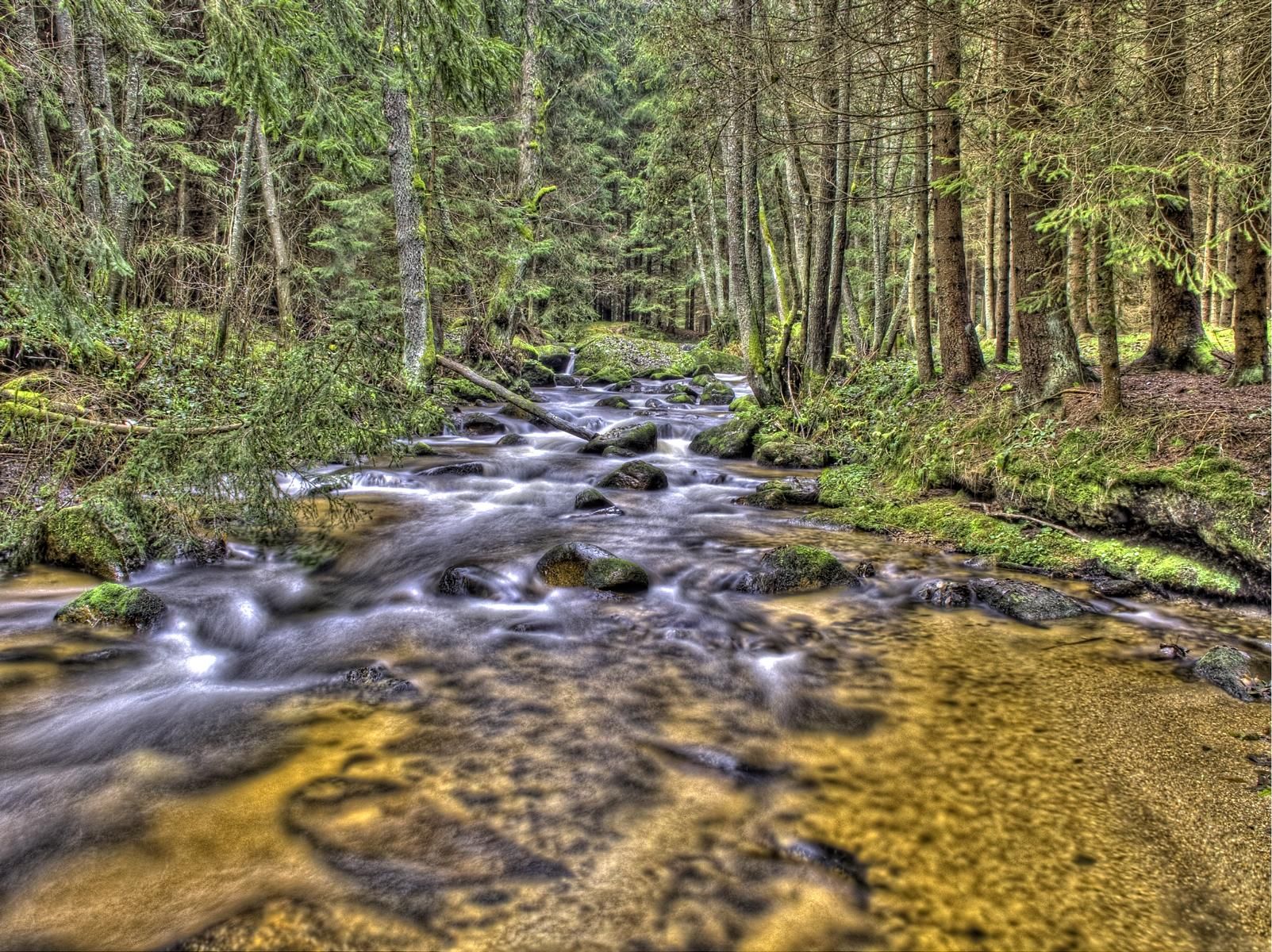 The colorful Zwettl near Groß Gerungs, Austria