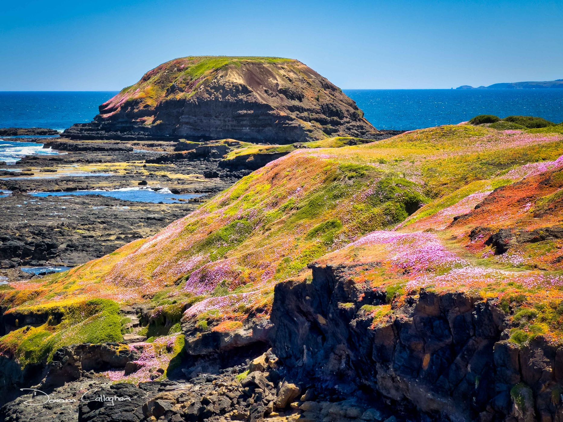 The Nobbies, Phillip Island, Victoria, Australia