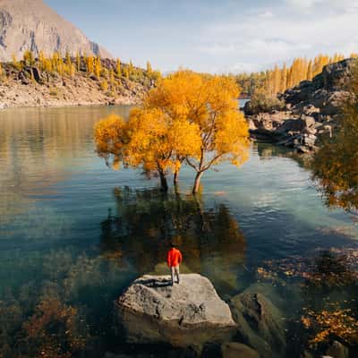 Tree in the Water, Pakistan