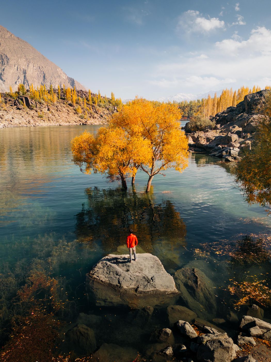 Tree in the Water, Pakistan