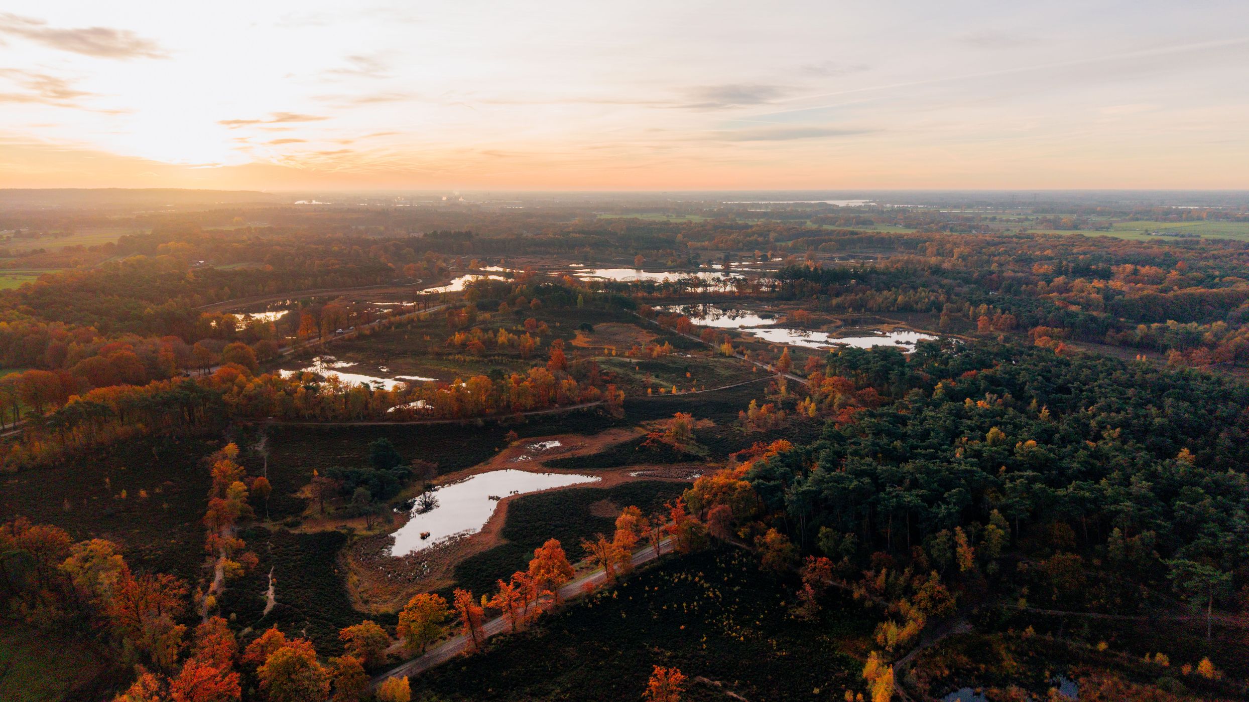 Uiversnest, Netherlands