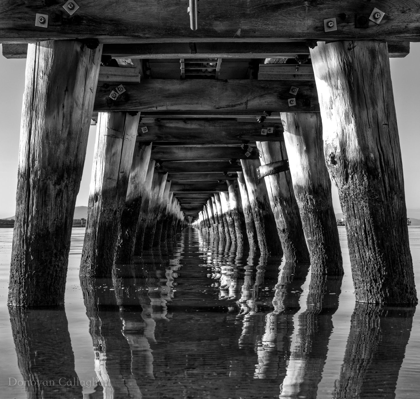 Under the Jetty, Port Welshpool, Victoria, Australia