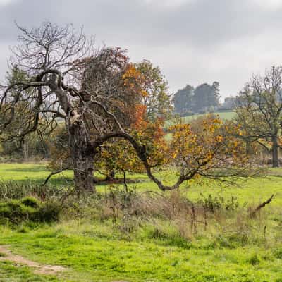 Upper Slaughter to Lower Slaughter trail, United Kingdom