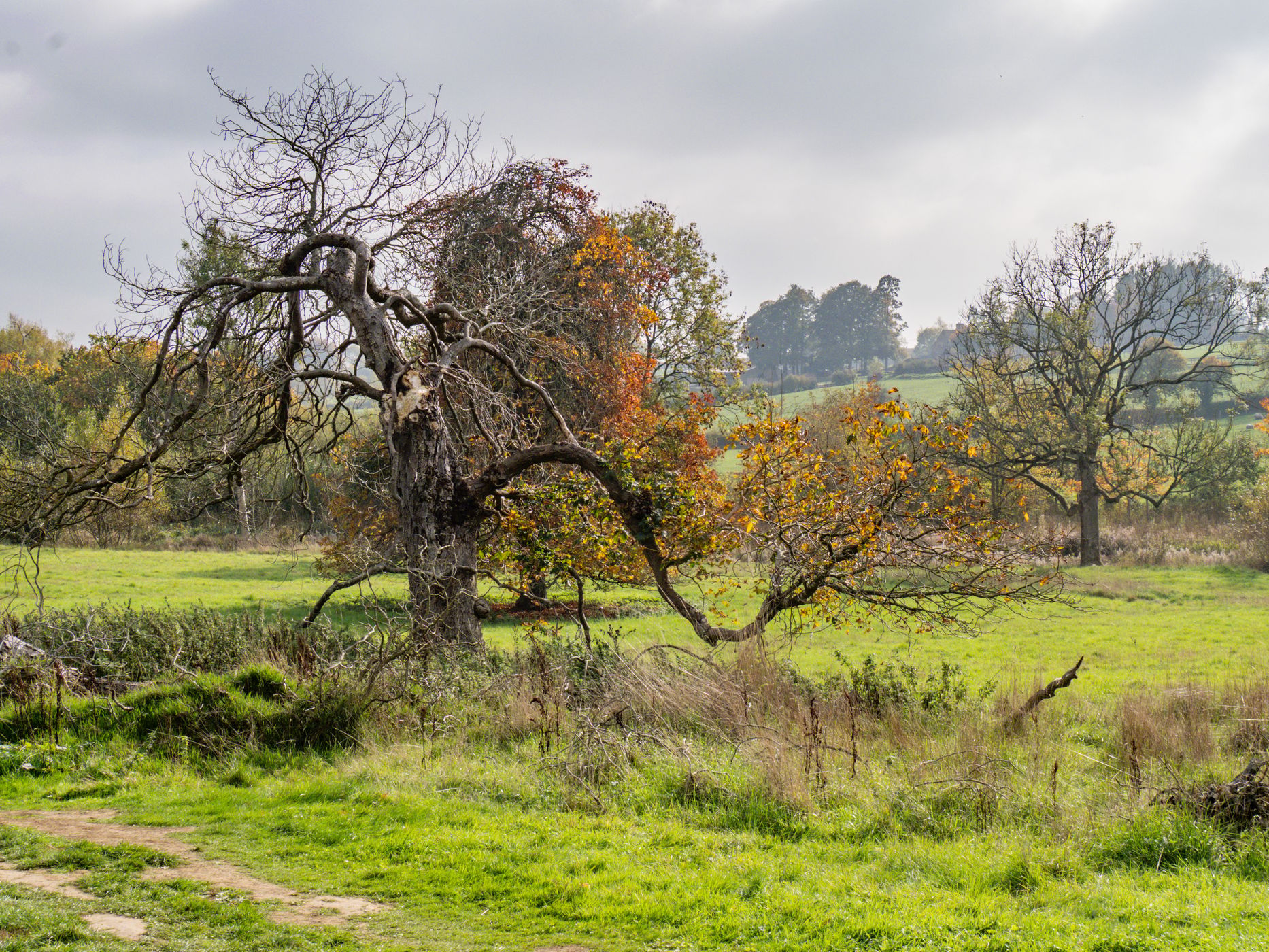 Upper Slaughter to Lower Slaughter trail, United Kingdom