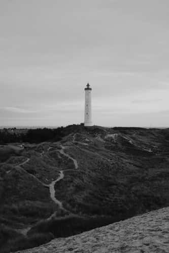 View at Lyngvig Fyr near Hvide Sande