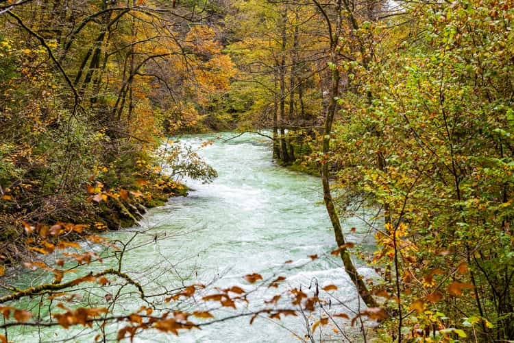 Vintgar gorge