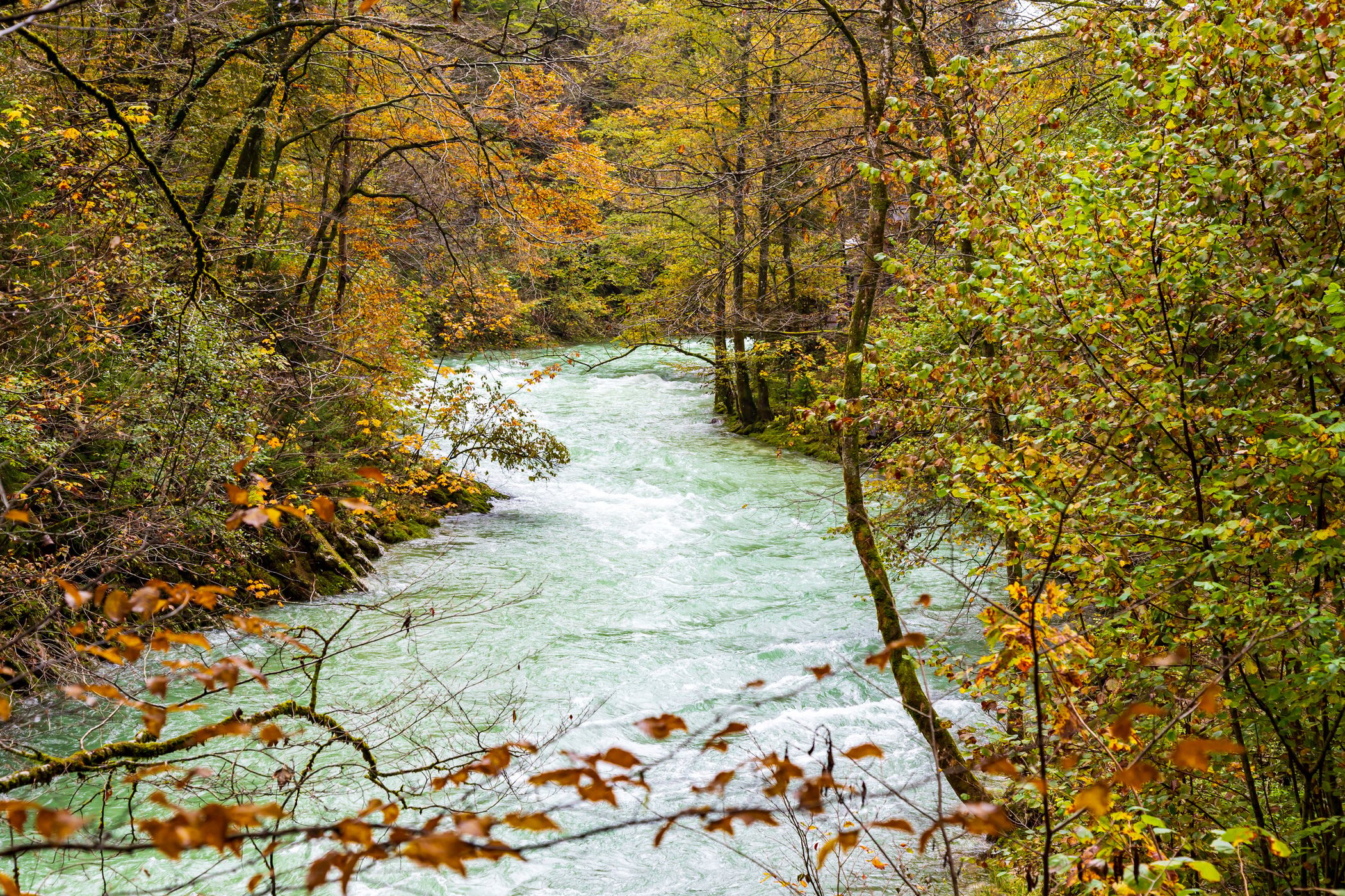 Vintgar gorge, Slovenia