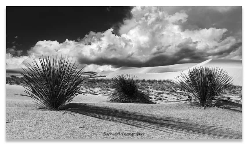 White Sands National Park
