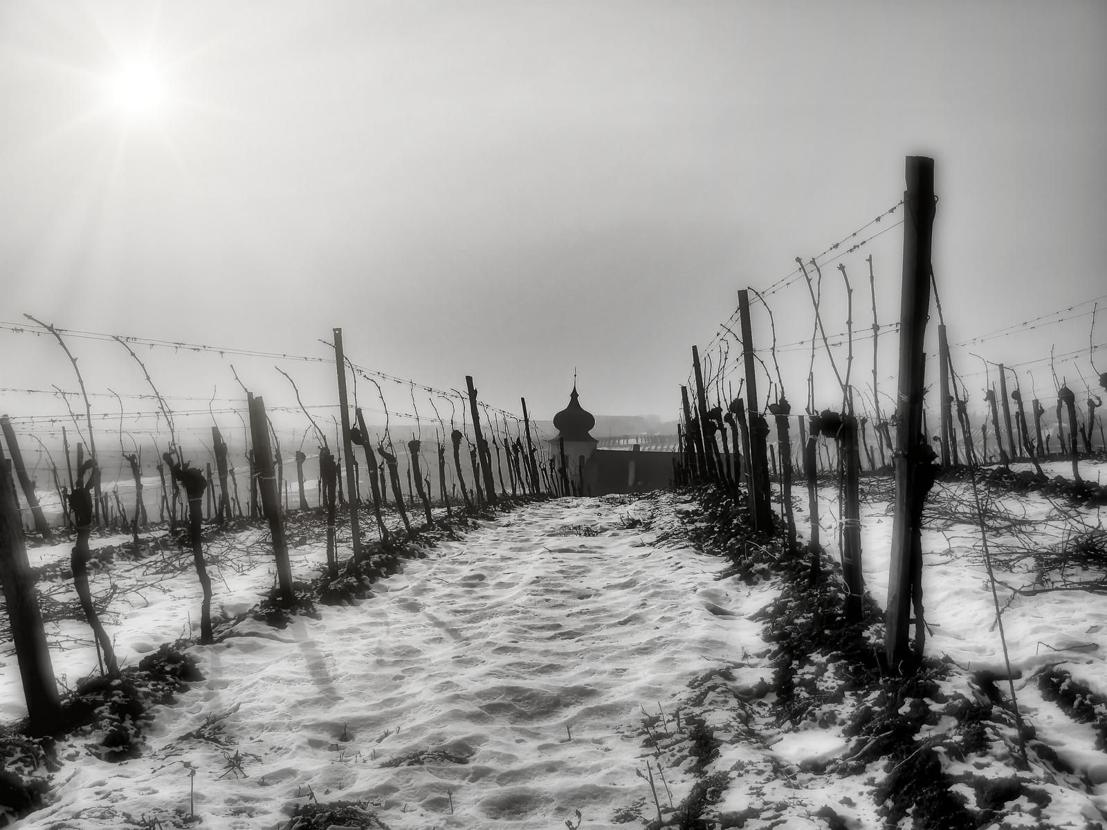 Winter at Thallern, Austria
