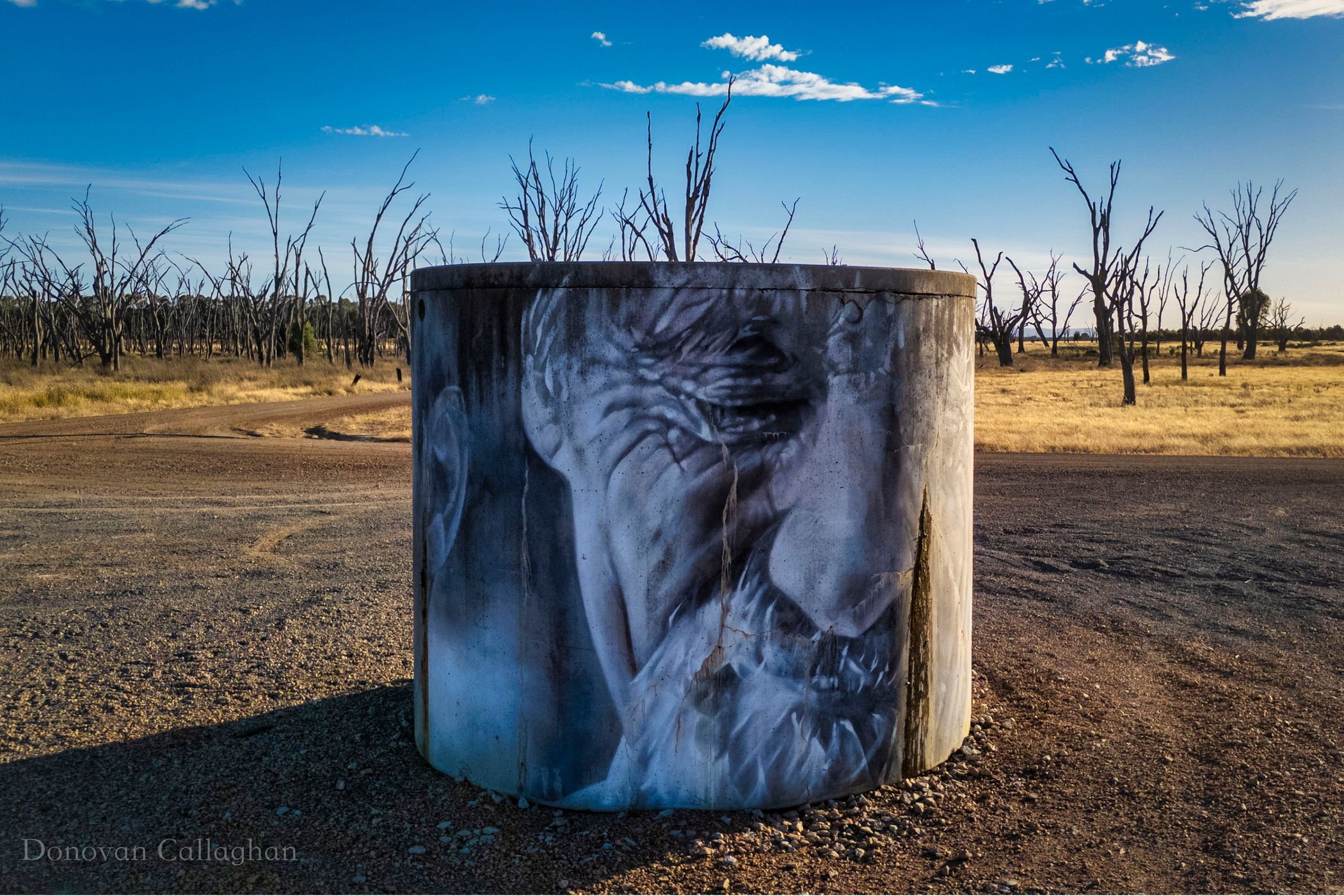 Winton Wetlands CFA Water Tank, Winton, Victoria, Australia