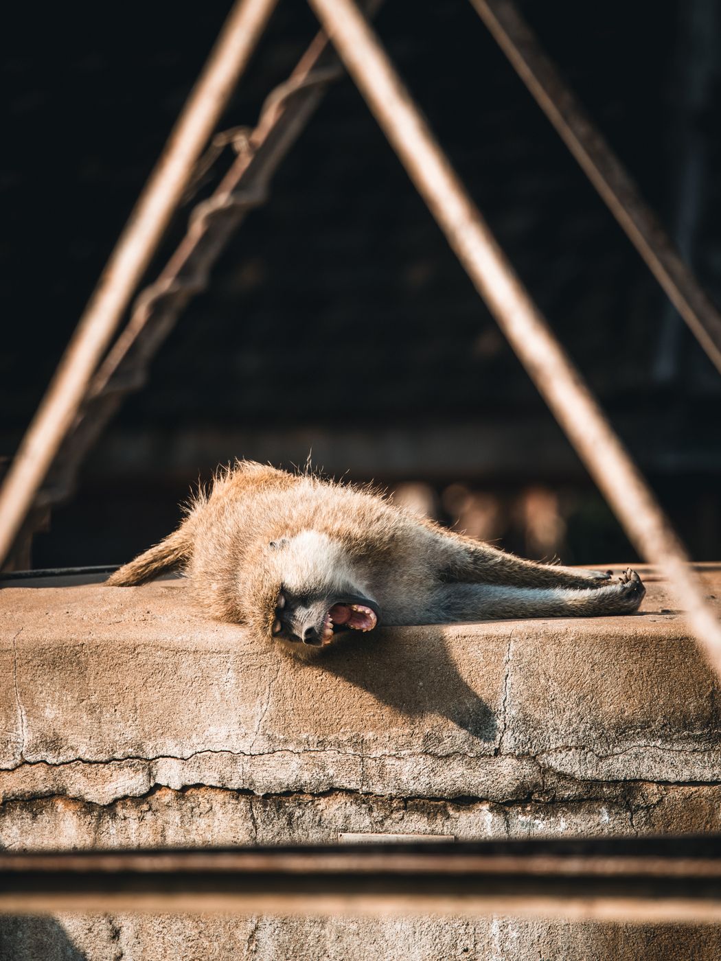 Abandoned Amboseli Lodge, Amboseli National Park, Kenya