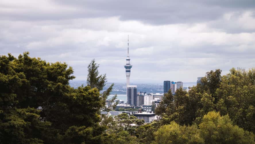 Auckland Tower View