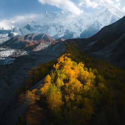Autumn Colours at the Bottom of Nanga Parbat, China
