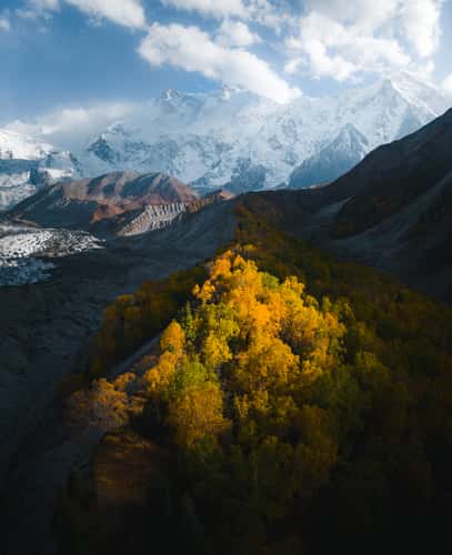 Autumn Colours at the Bottom of Nanga Parbat