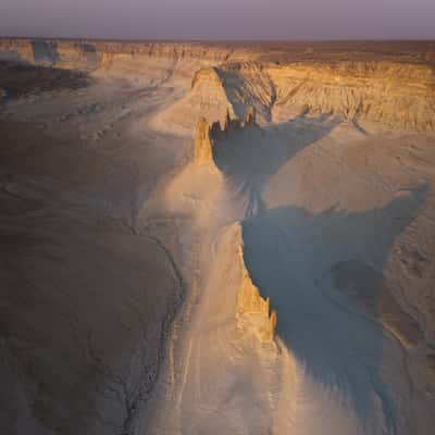 Bozhira Dragon's Crest From South, Kazakhstan