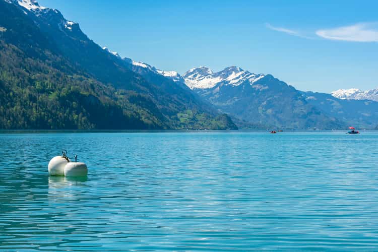 Brienz Lakeview