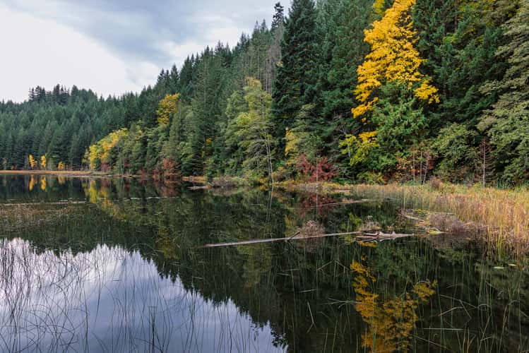Brohm Lake - Sea to Sky