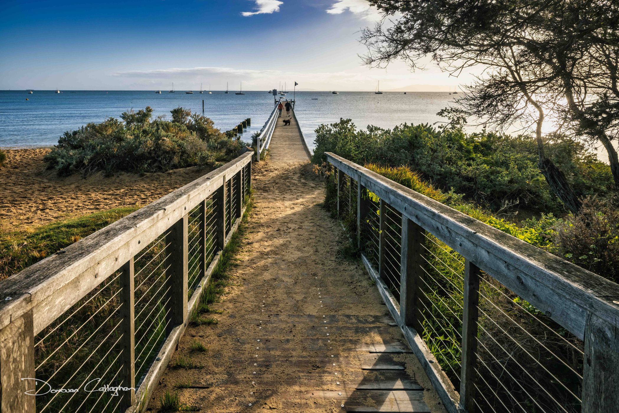 Camerons Bight Jetty, Sorento, Victoria, Australia