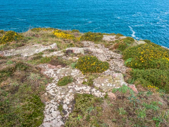 Cap Fréhel