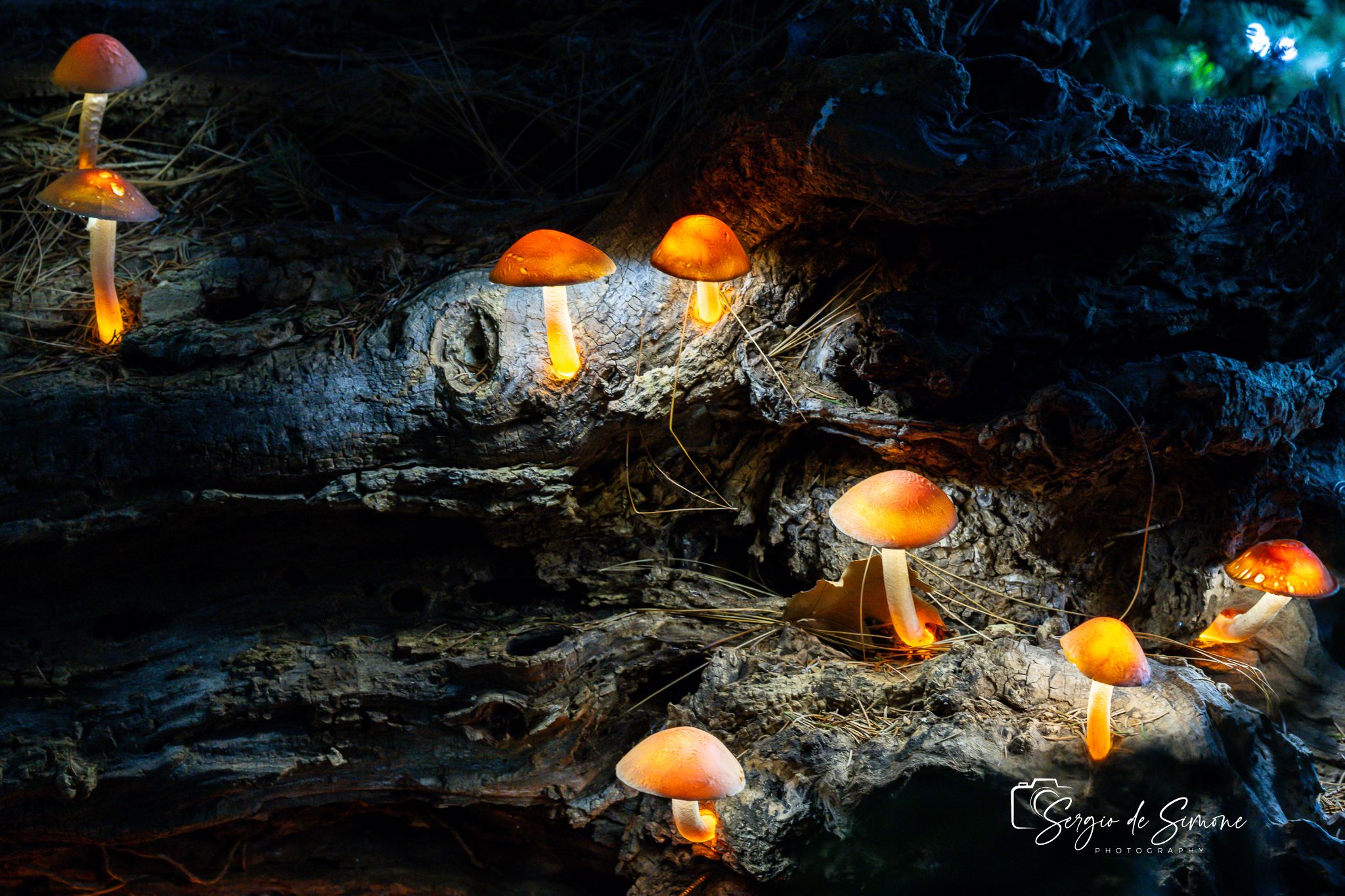 Christmas Lights, Italy