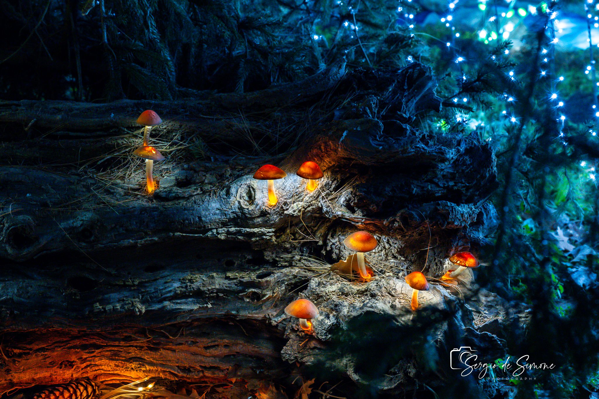 Christmas Lights, Italy