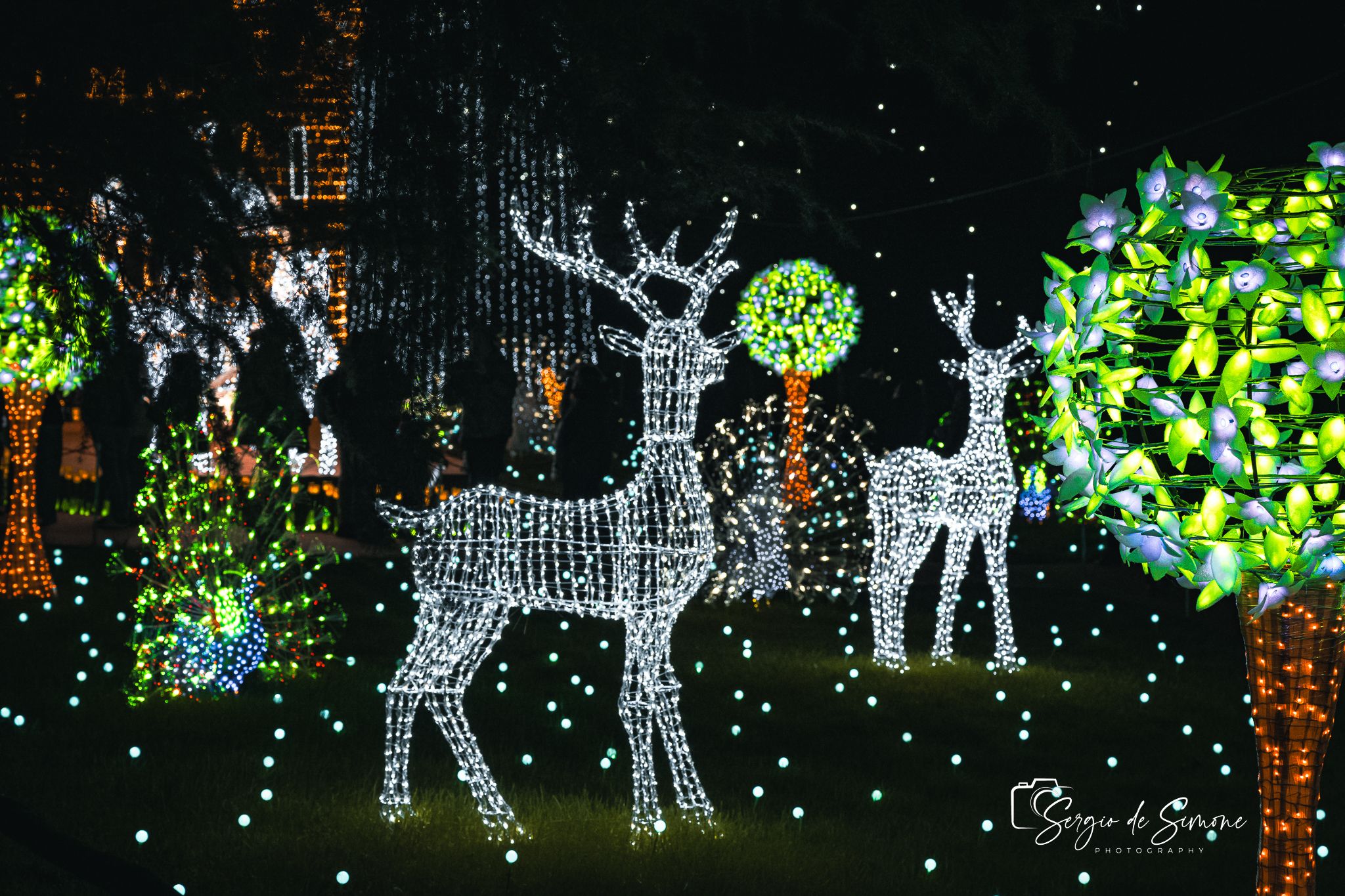 Christmas Lights, Italy